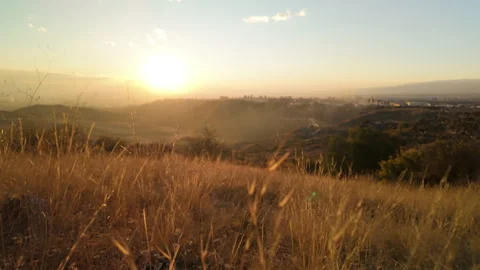 04 Walking through dry withered autumn grass at sunset 스톡 동영상 289405661