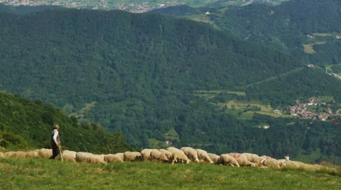 0403 Sheperd on the mountains summer time Stock Footage 40499591