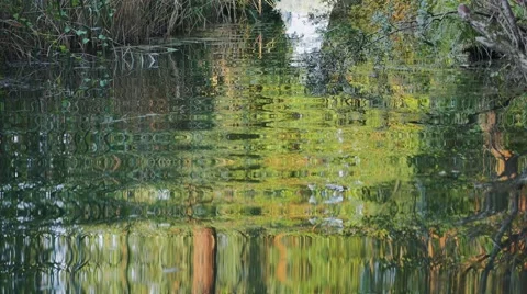 0407 UHD Reflections while boating over the water in a lake Stock Footage 40515949