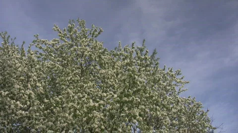 04082010 Stock Footage