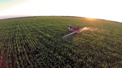 Flight over the mashine watering the corn  field in sunset