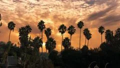 Clouds sunrise over palm trees silhouettes Los Angeles, California. Timelapse.