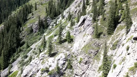 041 库存影片 246018960