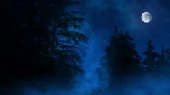 Night Forest Misty Swamp And Moon