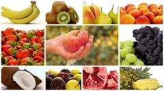 diverse fruits montage
