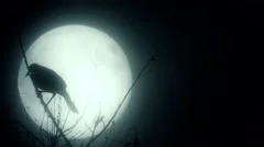 Silhouette of a raven against a full moon