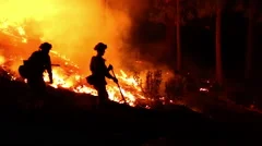 2 fire fighters walking through forest fire