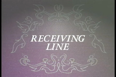 0419 Wedding Receiving Line  Stock Footage 700505