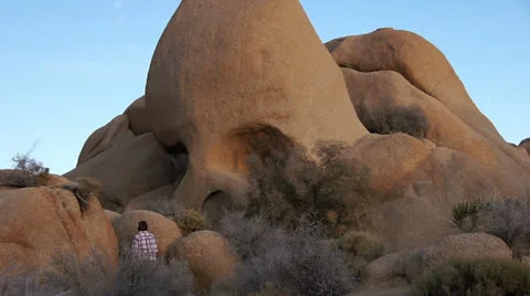 041JoshuaTreeNP Stock-Footage 26663089