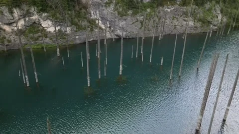 042 Video stock 246018940