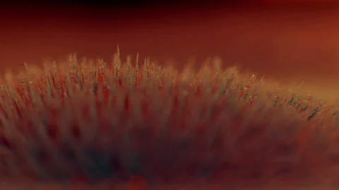 042 Matched Efforts Vídeo Stock 199235431