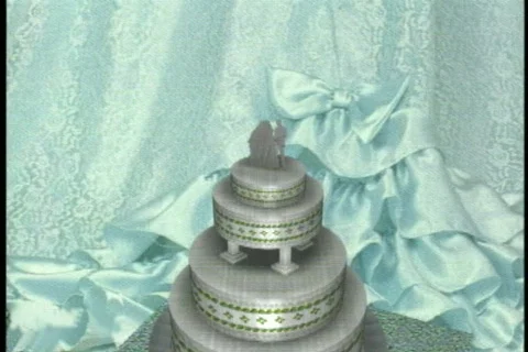 0422 Cutting the Wedding Cake  Stock Footage 700508