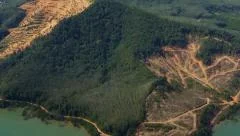 Aerial view of deforestation results of jungle rain forest disappearing