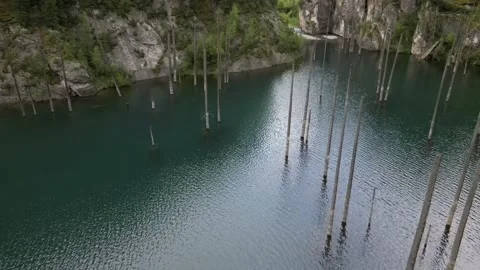 043 库存影片 246019055