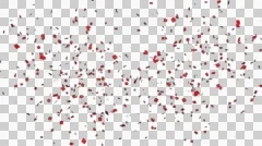Confetti animation with alpha channel
