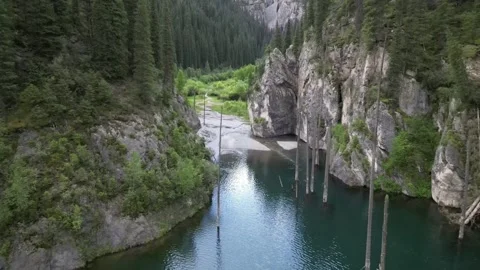 044 库存影片 246019060