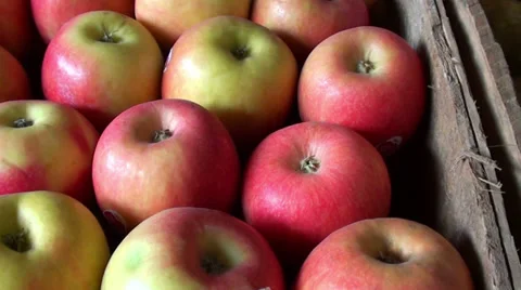 0440 Apples at the market Stock Footage 35295977