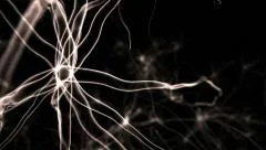 Neurone synapse network. Flight across a fantasy brain. Science 3D animation.