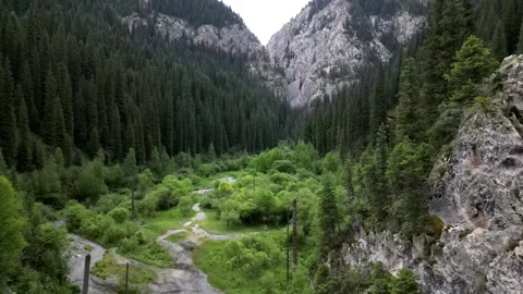 045 Video stock 246019144