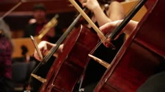Cello in an orchestra