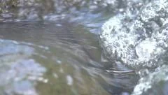 Slow Motion Water over River Stones 240fps