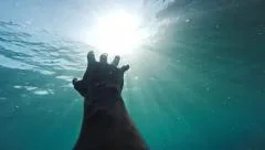 Hand Sinking Deep Underwater Ocean Sea Drown Desperation Hopelessness Sun Rays