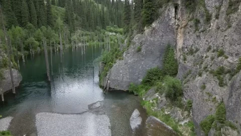 047 库存影片 246019291