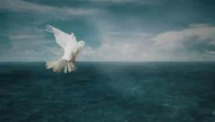 Dove flying over the ocean