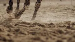 Horse Hooves Close Up Slow Motion
