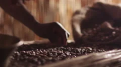 African Worker Is Sorting Coffee Beans