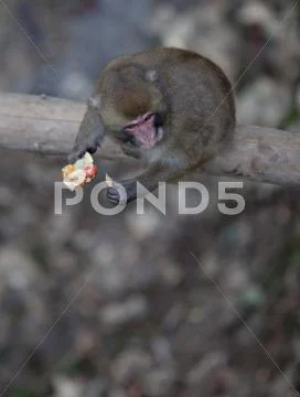  Stock Photos