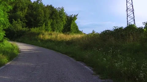 0480 Camera car in a forest on the mountain Stock Footage 42827621