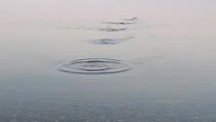 Close-up of stone skipping on water surface