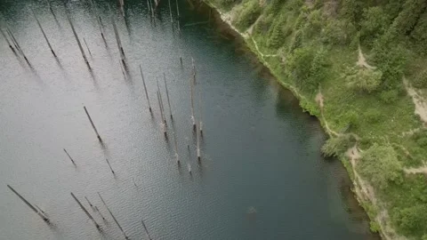 049 库存影片 246019286