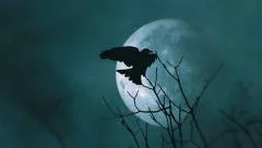 Full moon and crow