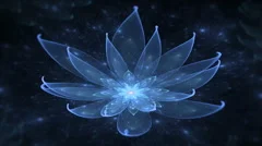 Blue lotus, water lily, enlightenment or meditation and universe, magic scene