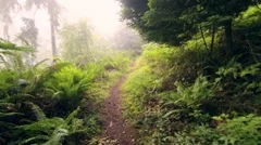 slow push through misty forest path