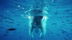 Slow motion underwater view of man diving into water amongst school of fish