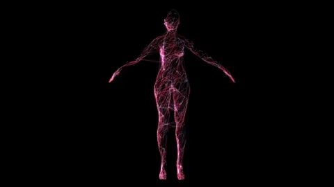 04woman Digital data comp 库存影片 343873148