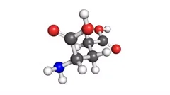 Glutamate molecule, rotating model