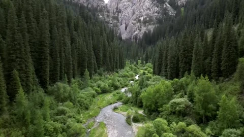 051 Video stock 246019417