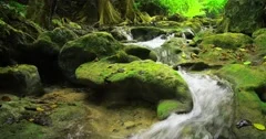 Stones and rocks covered by moss along water stream flowing through green forest