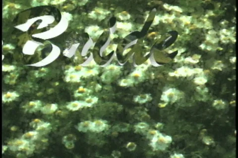 0511 Summer Bride background  Stock Footage 666571