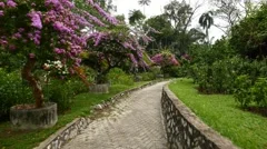 Blossom trees in Hibiscus Garden, Perdana Botanical Garden, Kuala Lumpur