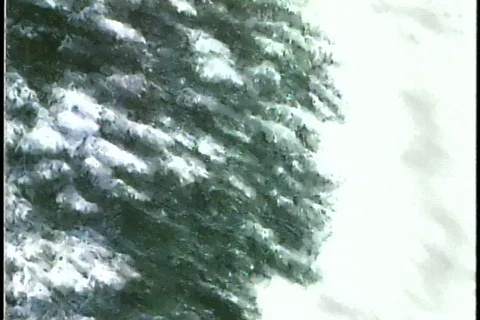 0513 Winter Bride Background  Stock Footage 666560