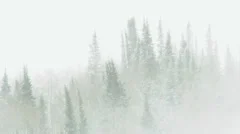 Rocky Mountain Snow Storm