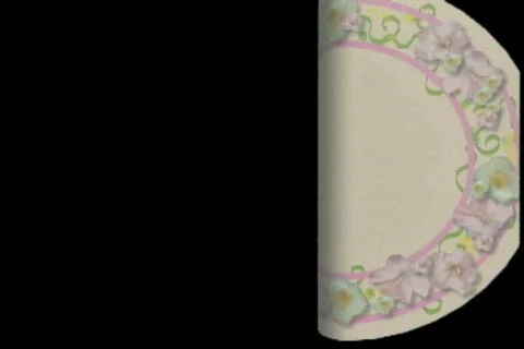 0517 Ketubah  Stock Footage 666530