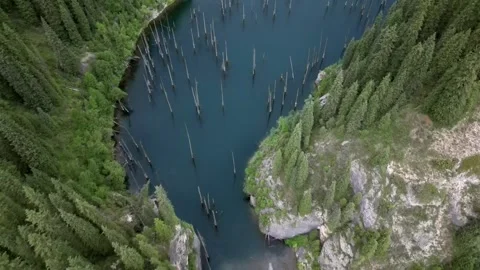 052 Video stock 246019613