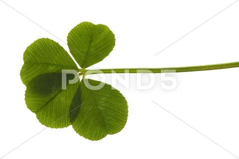  Stock Photos