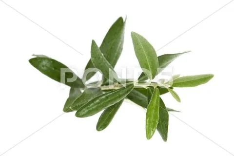  Stock Photos